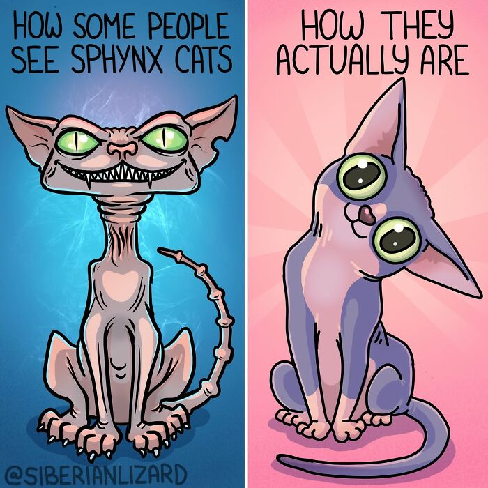 Let's Dive Into 63 Hilarious Comics That Totally Nail The Ferret Life