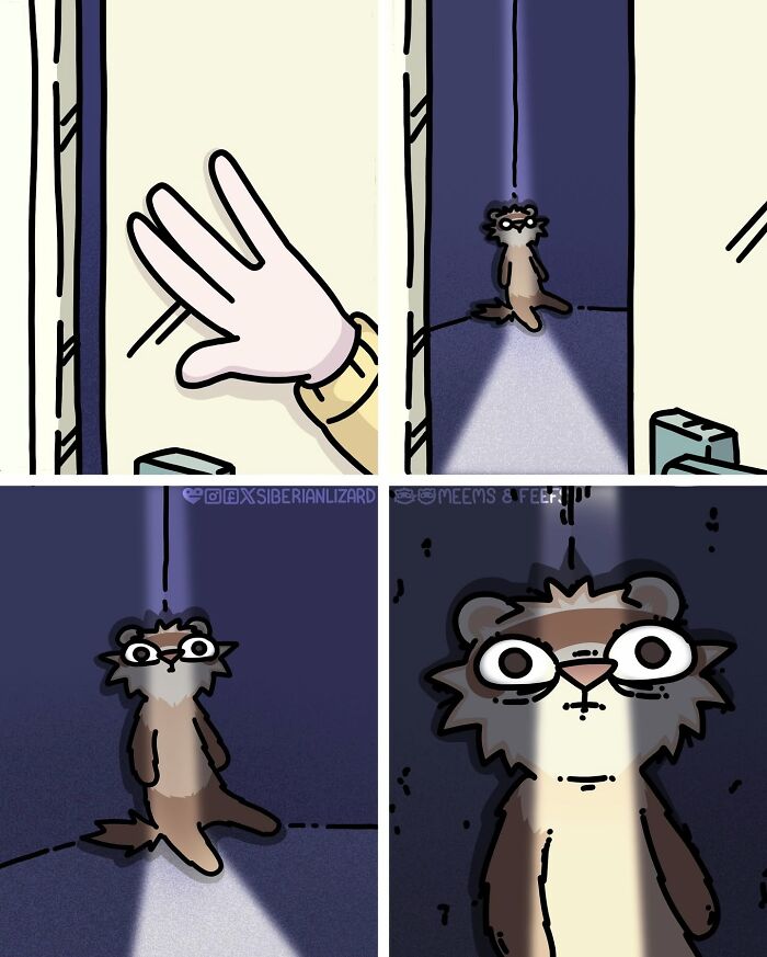 Let's Dive Into 63 Hilarious Comics That Totally Nail The Ferret Life