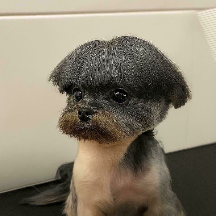 Why Would Anyone Do Him Like That?