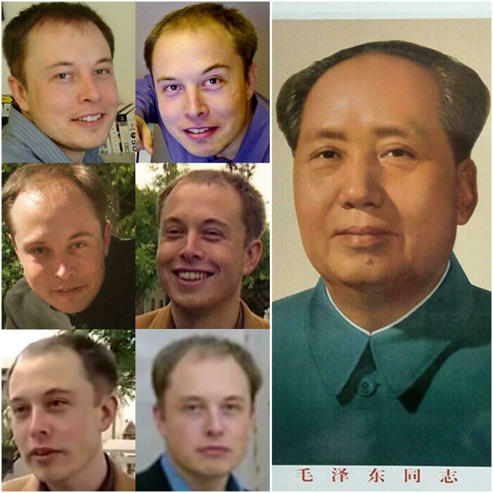 Illegal Immigrant Elon Musk? Hair Edition