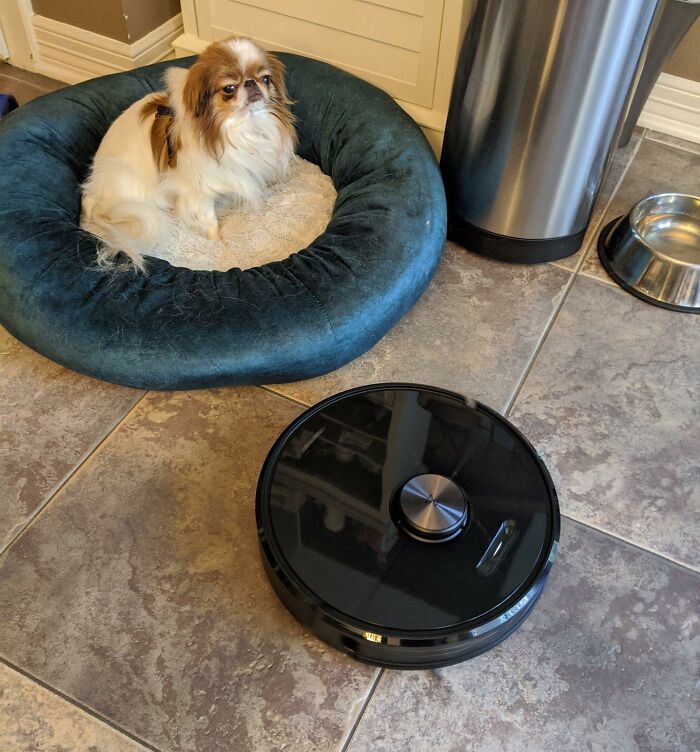 Come Home To Floors That Cleaned Themselves? Yeah, That's The Robotic Vacuum Cleaner Plot Twist You Didn’t Know You Needed