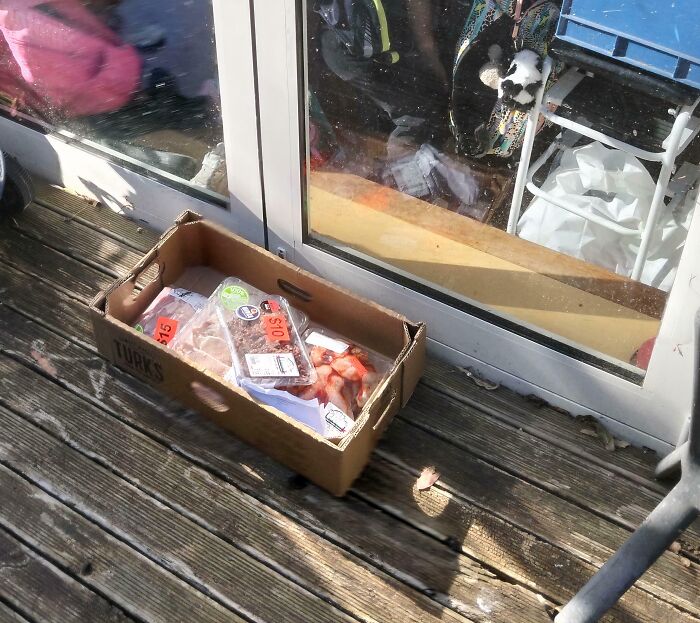 Meat Delivery Came Early and Confused Everyone
