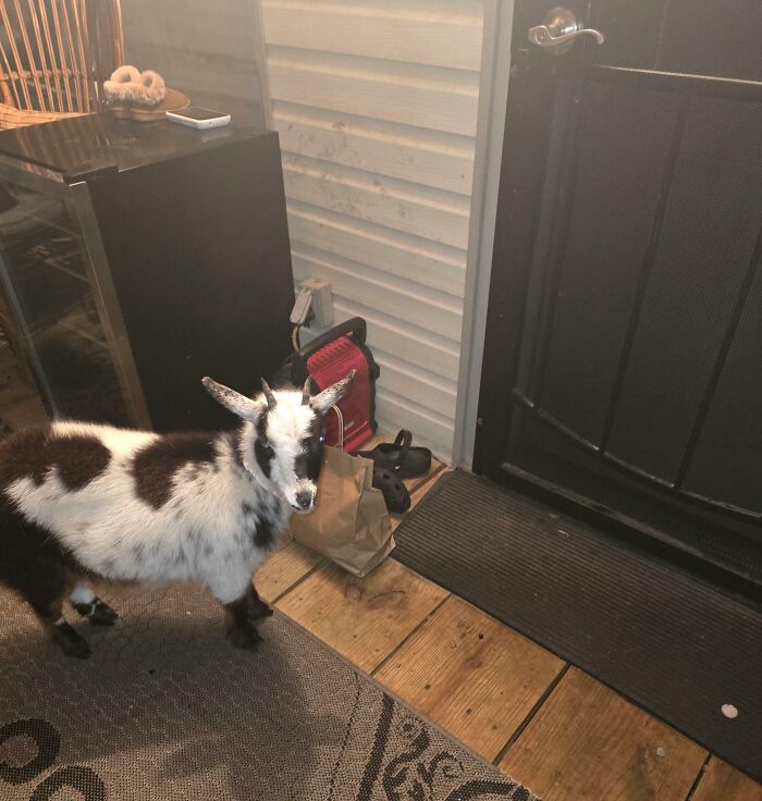 "Leave at My Door" Instructions Gone Hilariously Wrong