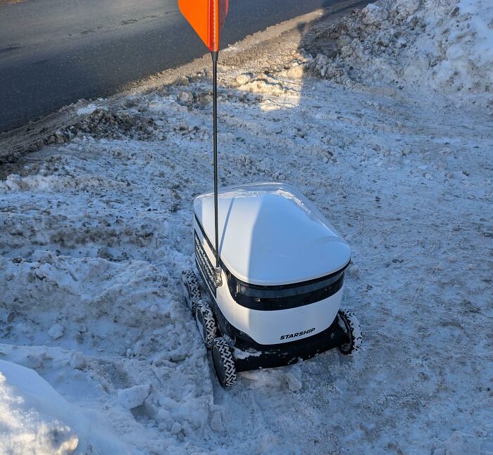 Robot Delivery Got Stuck on the Highland—Who Knew?