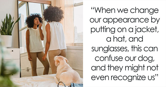 18 Human Habits That Totally Boggle Your Dog’s Mind