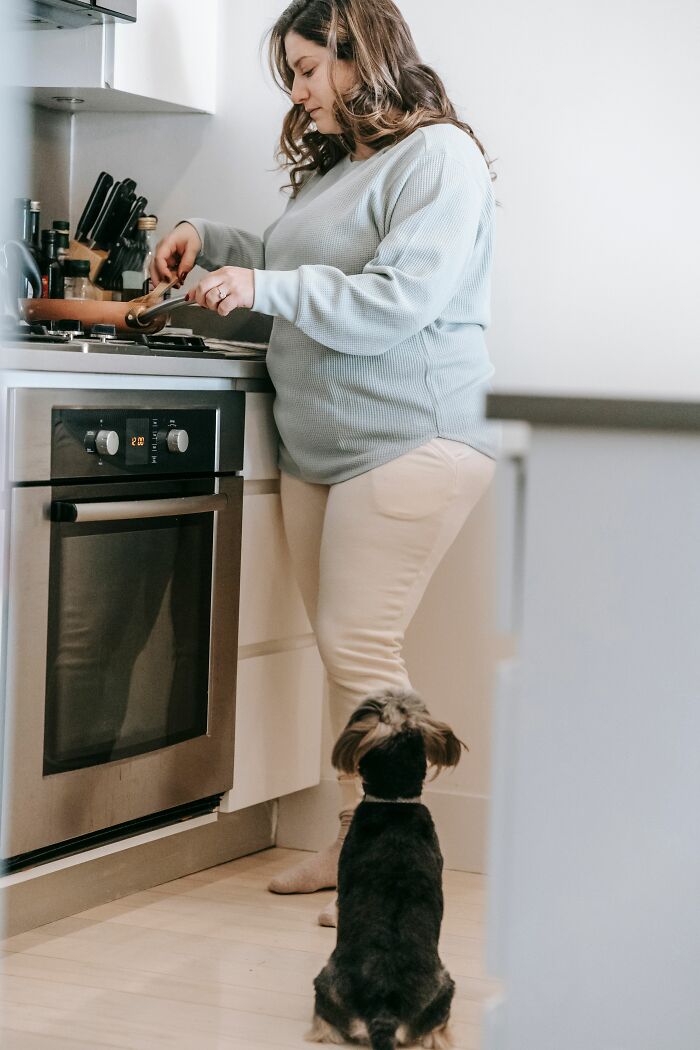 The Kitchen Chaos—Cooking Confuses Dogs