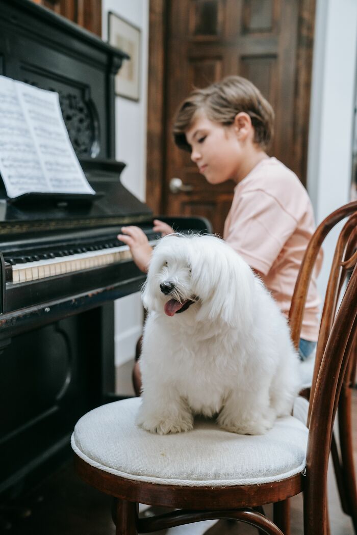 Playing Music: Mood Booster or Head-Scratcher?