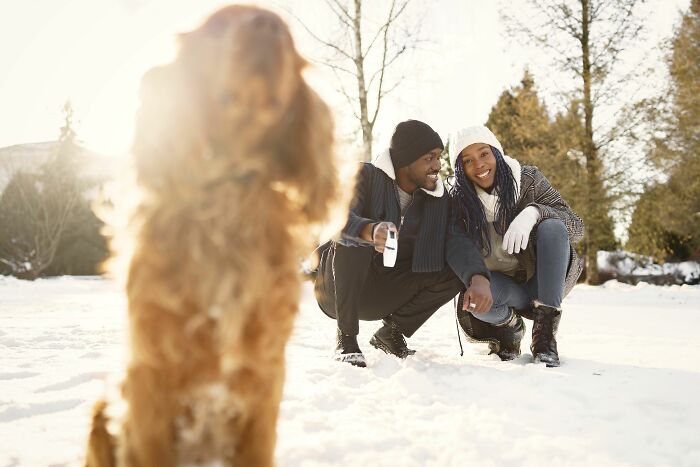 Trying to Joke or Be Sarcastic With Dogs