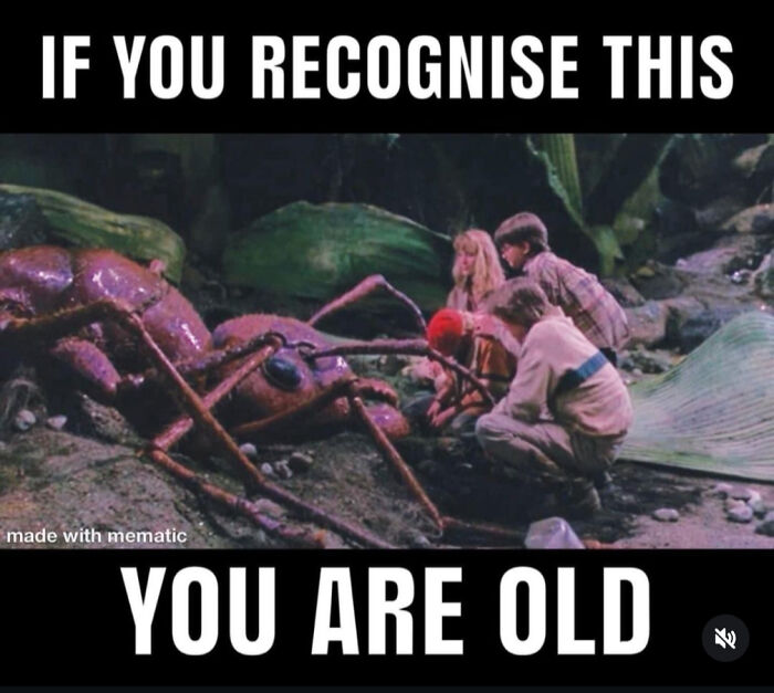 Wait, These Throwbacks Will Make You Feel SO Old (In The Best Way)