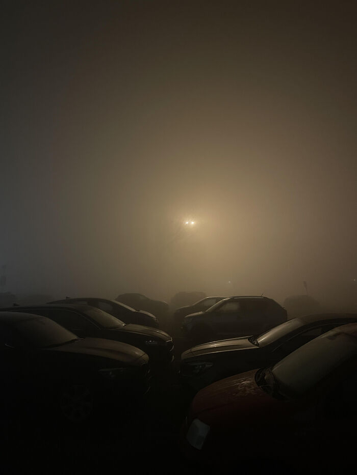 Lost Car Hide and Seek