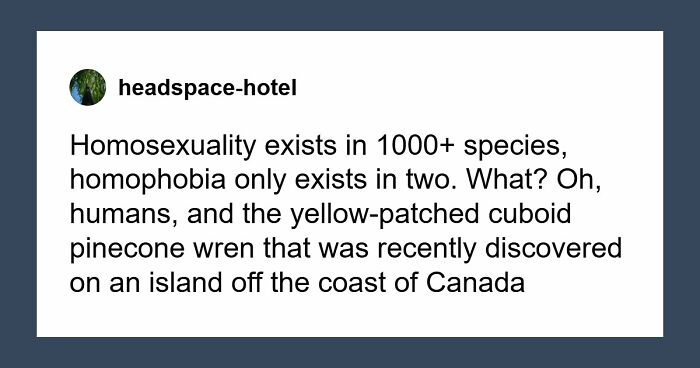 Wait, They Actually Saved These Tumblr Gems?!