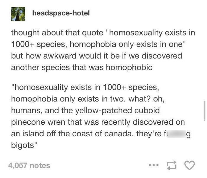 Wait, They Actually Saved These Tumblr Gems?!