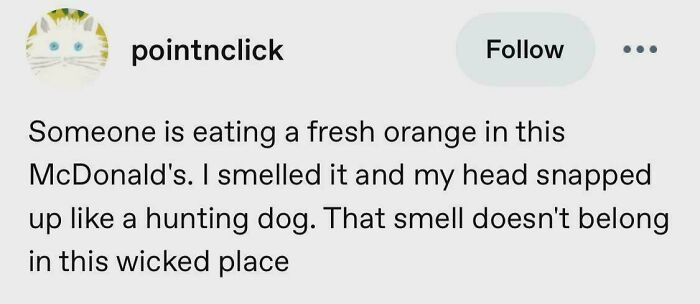 Wait, They Actually Saved These Tumblr Gems?!