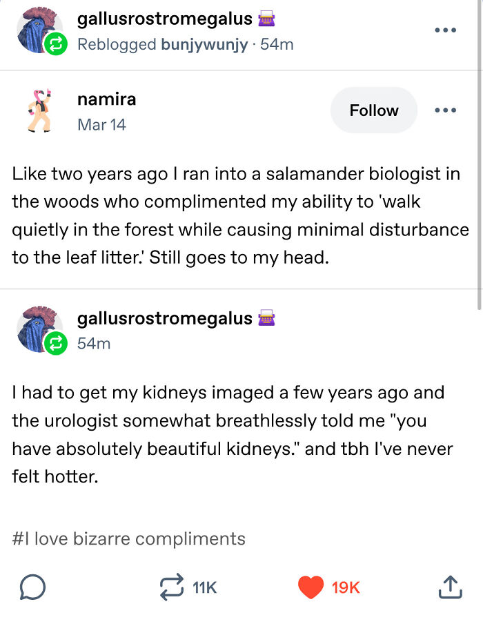 Wait, They Actually Saved These Tumblr Gems?!