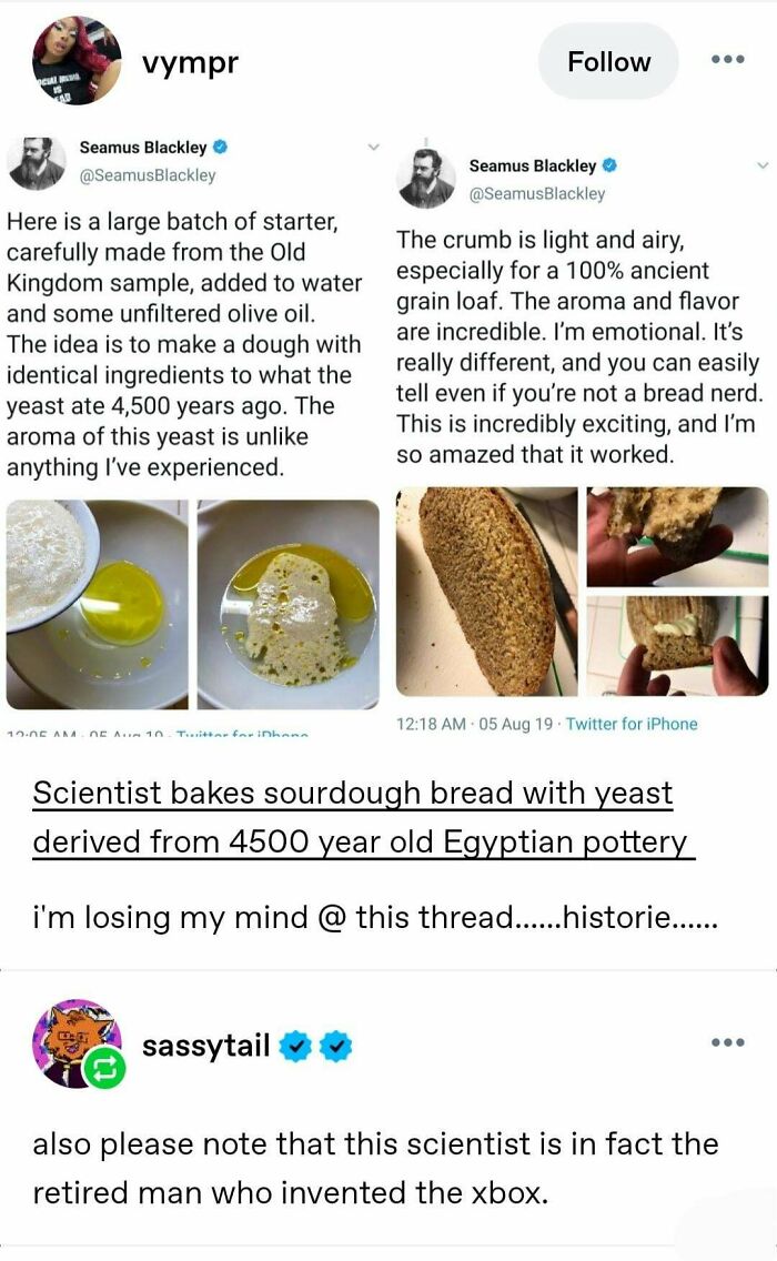Wait, They Actually Saved These Tumblr Gems?!
