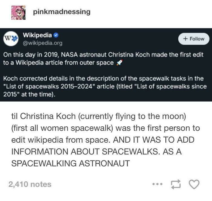 Wait, They Actually Saved These Tumblr Gems?!