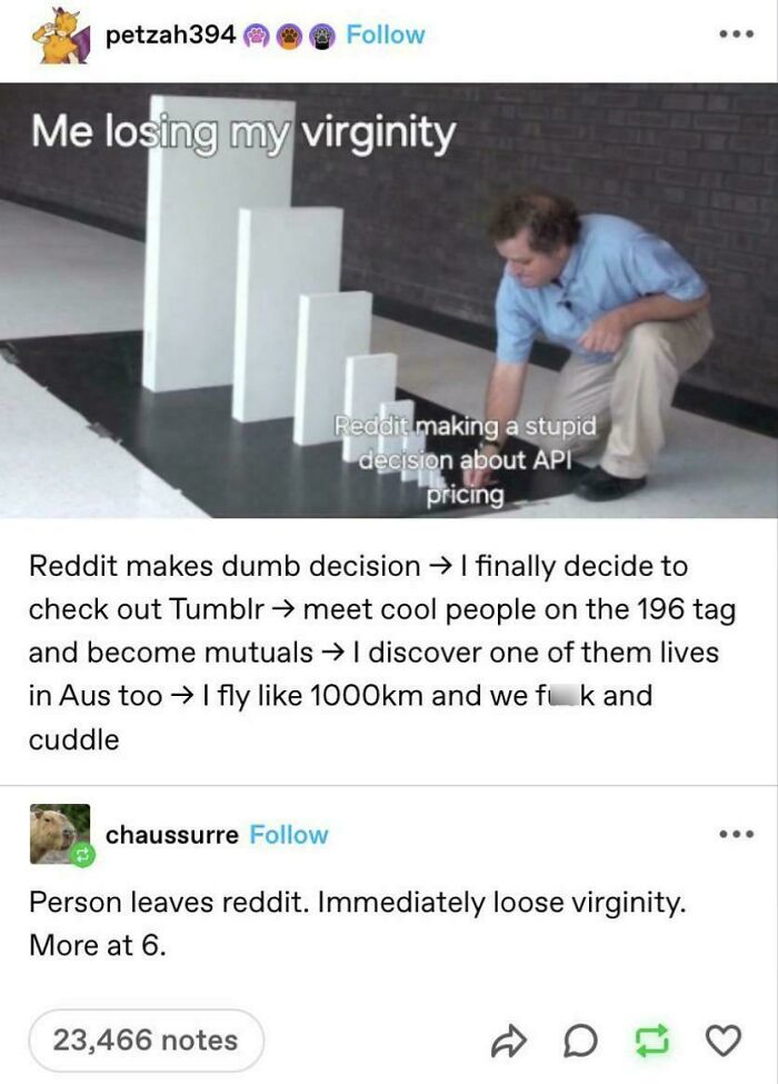 Wait, They Actually Saved These Tumblr Gems?!