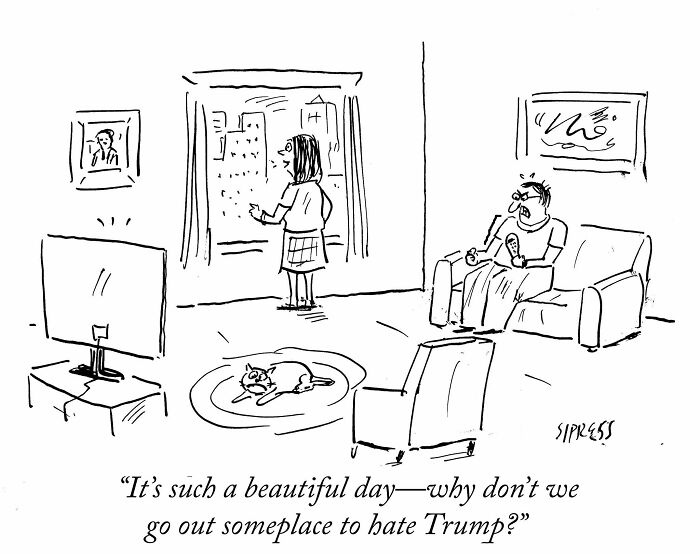 Wait Till You See These 24 Hilariously Awkward Cartoons About Everyday Life