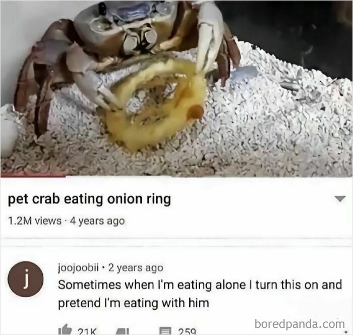 Pet Crab Chowing Down On An Onion Ring