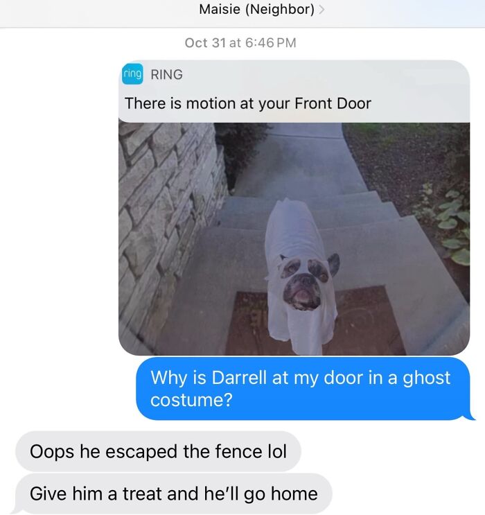 Wait, They Really Made These Animal Memes? Prepare to LOL!