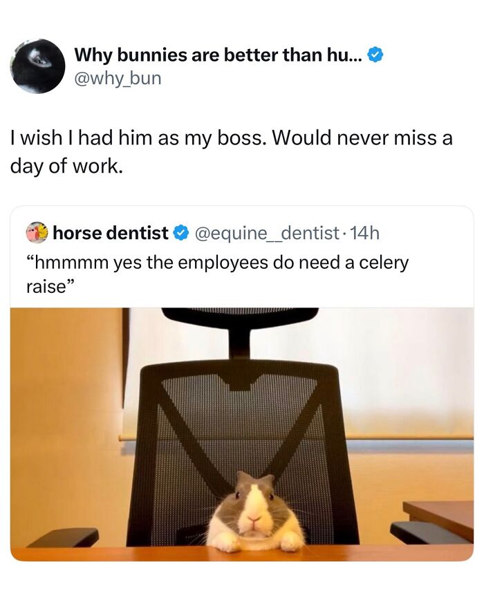 Wait, They Really Made These Animal Memes? Prepare to LOL!