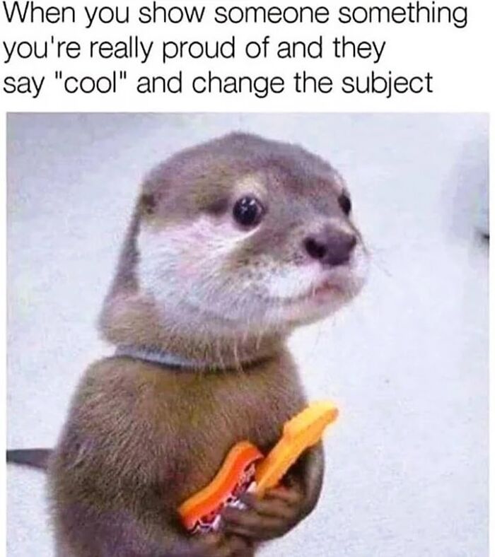 Wait, They Really Made These Animal Memes? Prepare to LOL!