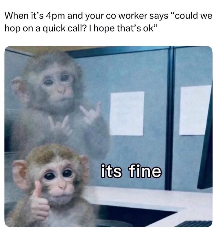 Wait, They Really Made These Animal Memes? Prepare to LOL!