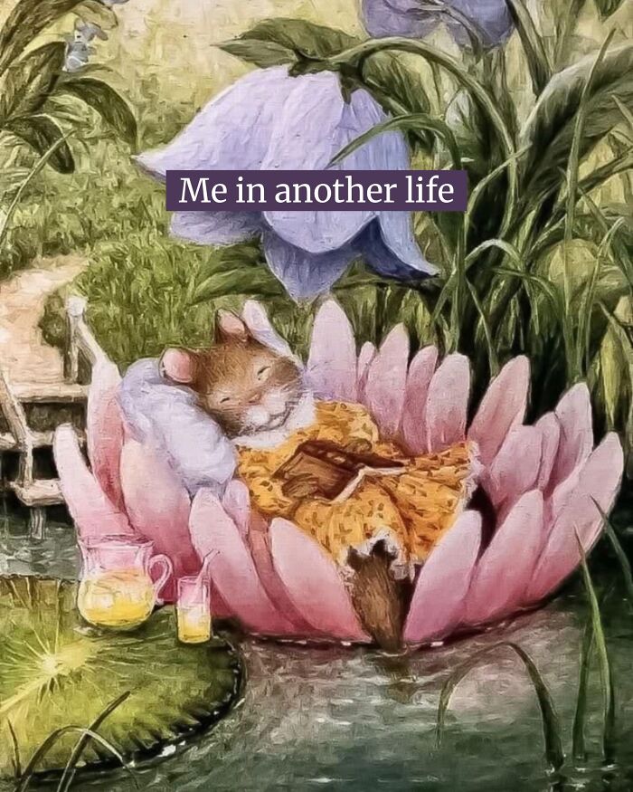 Wait, They Really Made These Animal Memes? Prepare to LOL!