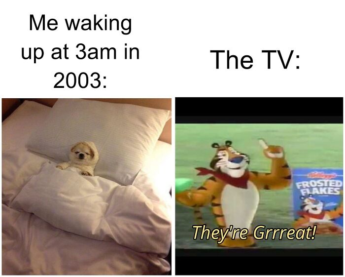Wait, They Really Made These Animal Memes? Prepare to LOL!