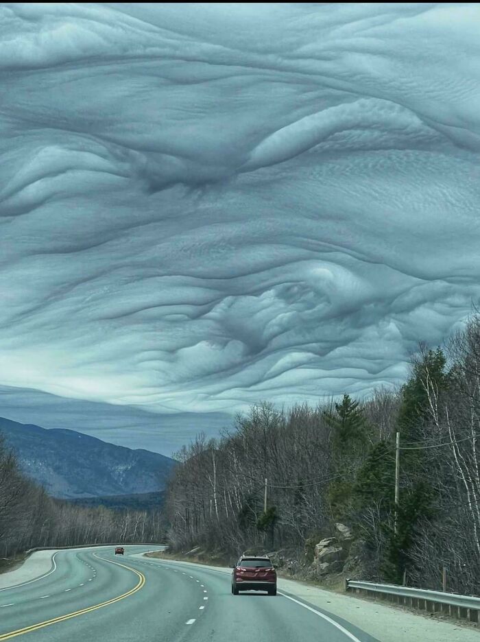 Wait, They Actually Shared These?! 95 Pics That Will Blow Your Mind