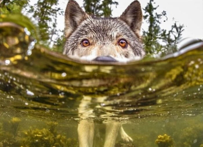 Wait, They Actually Shared These?! 95 Pics That Will Blow Your Mind