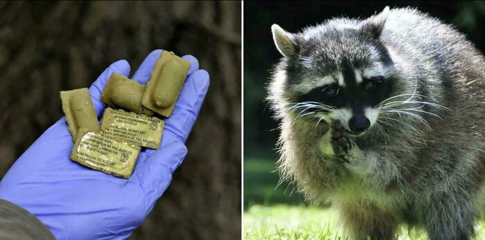 Wait, They Actually Shared These?! 95 Pics That Will Blow Your Mind