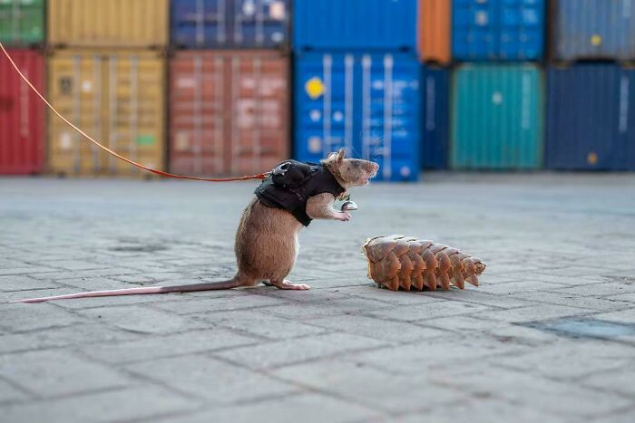 Wait, They Actually Shared These?! 95 Pics That Will Blow Your Mind