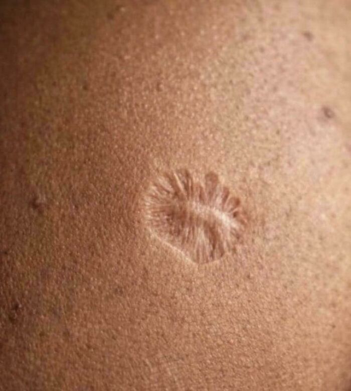 Wait, They Actually Shared These?! 95 Pics That Will Blow Your Mind