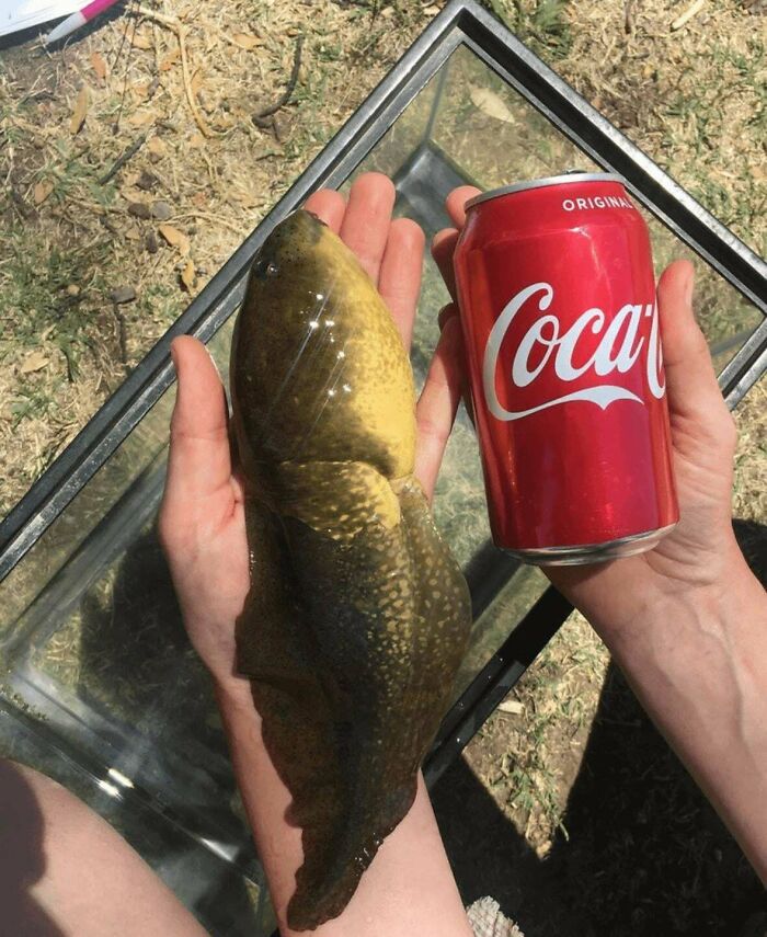 Wait, They Actually Shared These?! 95 Pics That Will Blow Your Mind