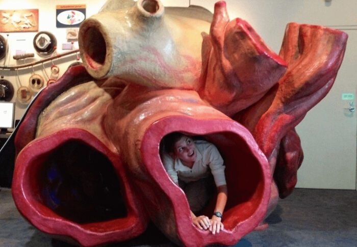 Wait, They Actually Shared These?! 95 Pics That Will Blow Your Mind