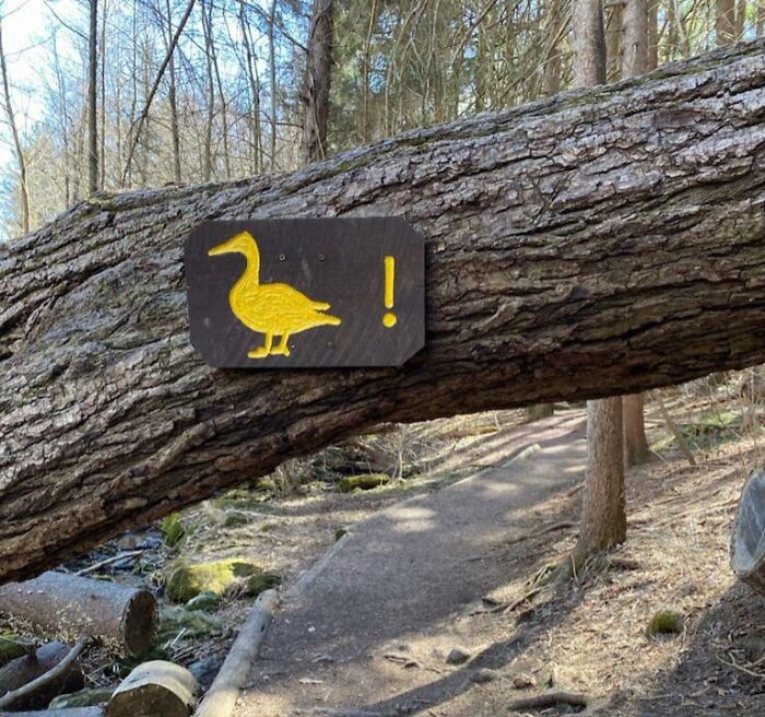 This Sign Told Me To 'Duck'… Literally