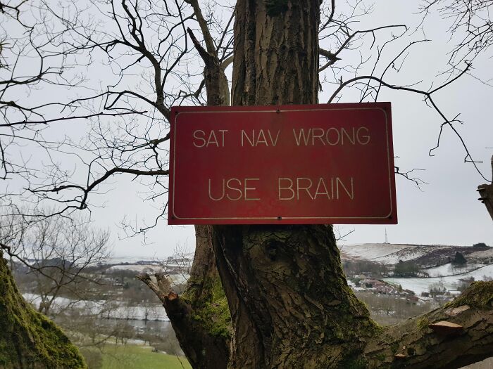 Found This Little Gem While Out Walking