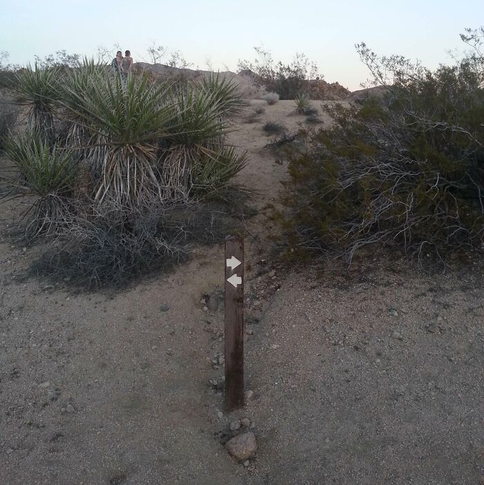 Signs On Trails That Are Way Too Honest (And Hilarious)