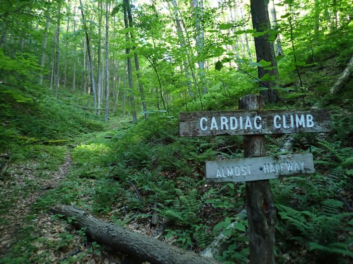 Signs On Trails That Are Way Too Honest (And Hilarious)