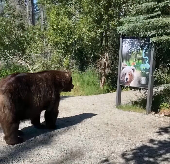 Signs On Trails That Are Way Too Honest (And Hilarious)
