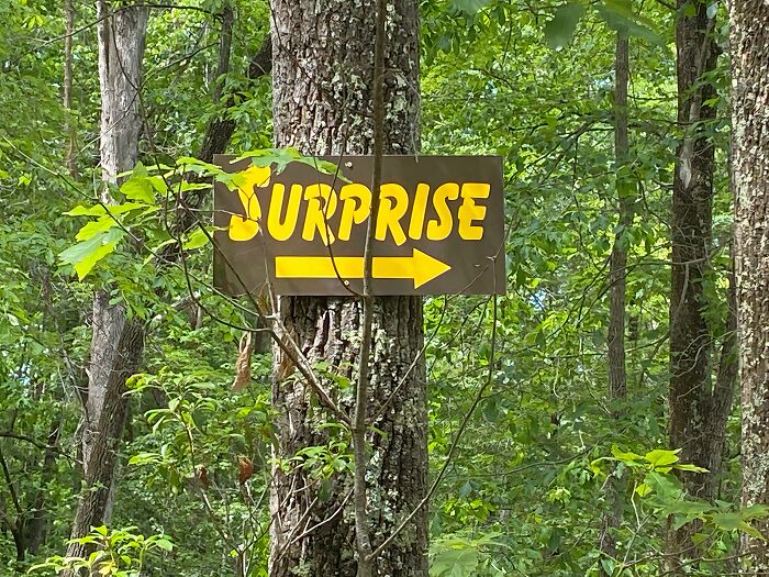 Signs On Trails That Are Way Too Honest (And Hilarious)