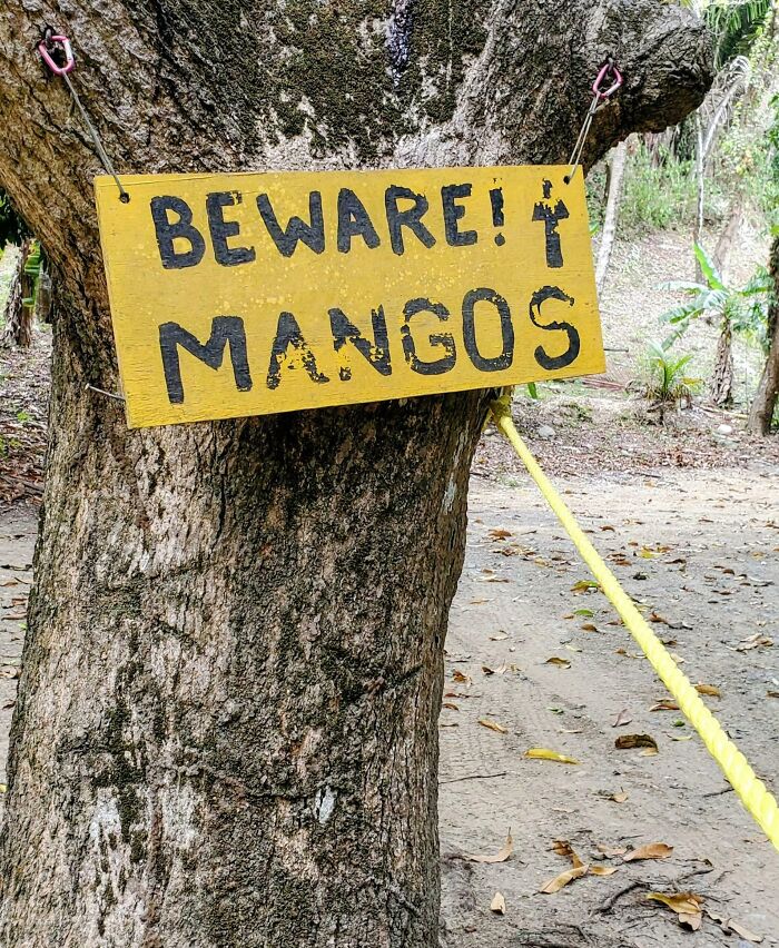 Signs On Trails That Are Way Too Honest (And Hilarious)