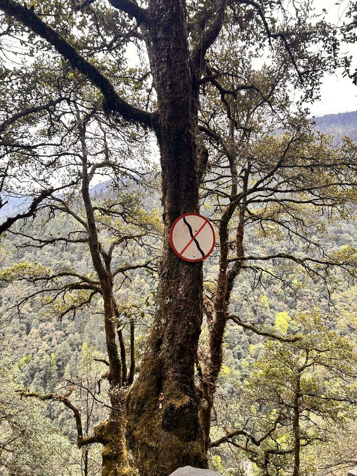Signs On Trails That Are Way Too Honest (And Hilarious)