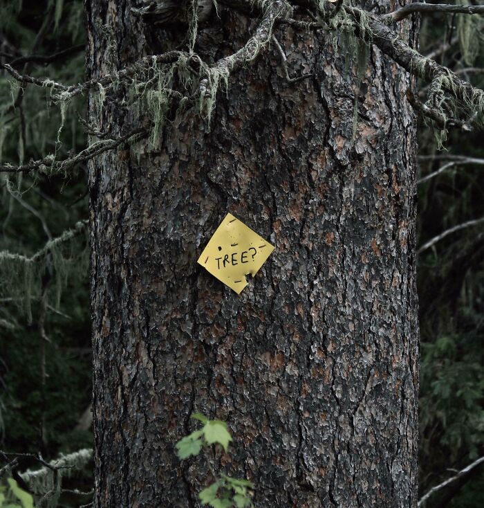 Signs On Trails That Are Way Too Honest (And Hilarious)