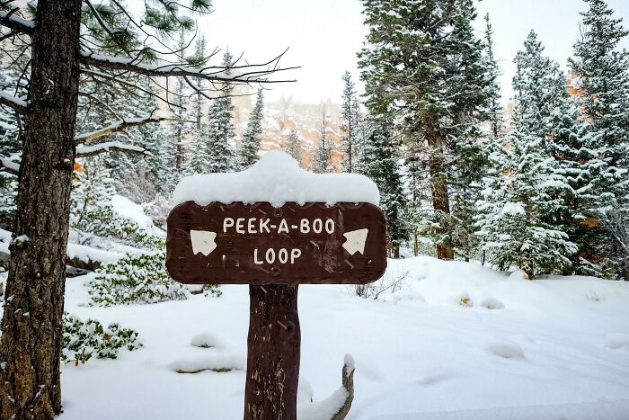 Signs On Trails That Are Way Too Honest (And Hilarious)