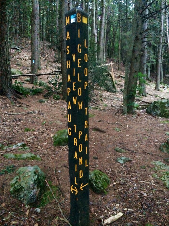 Signs On Trails That Are Way Too Honest (And Hilarious)