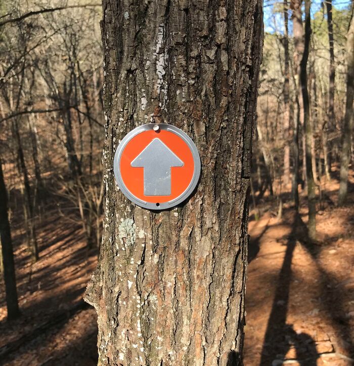 Signs On Trails That Are Way Too Honest (And Hilarious)