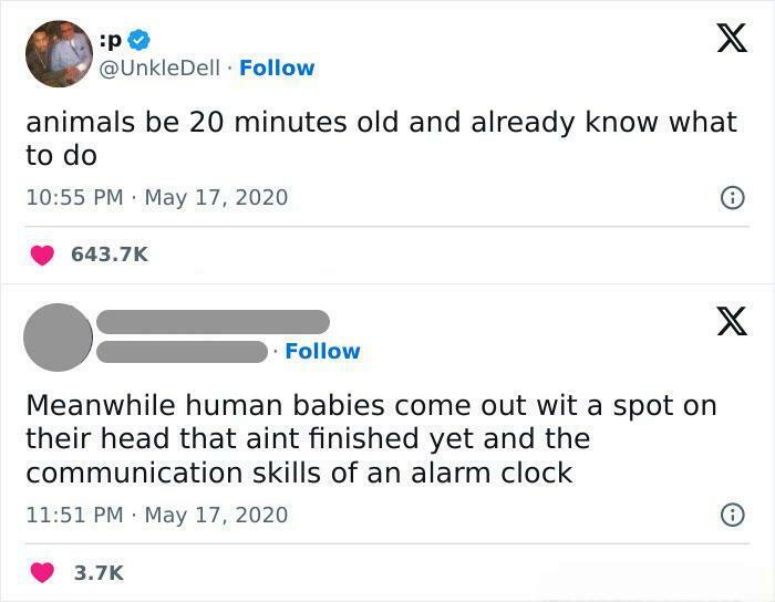 27 Insults That Are So Good, You'll Wish You Thought Of Them First
