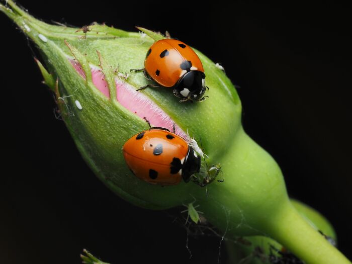 73 Wildly Random Facts That Will Totally Surprise You